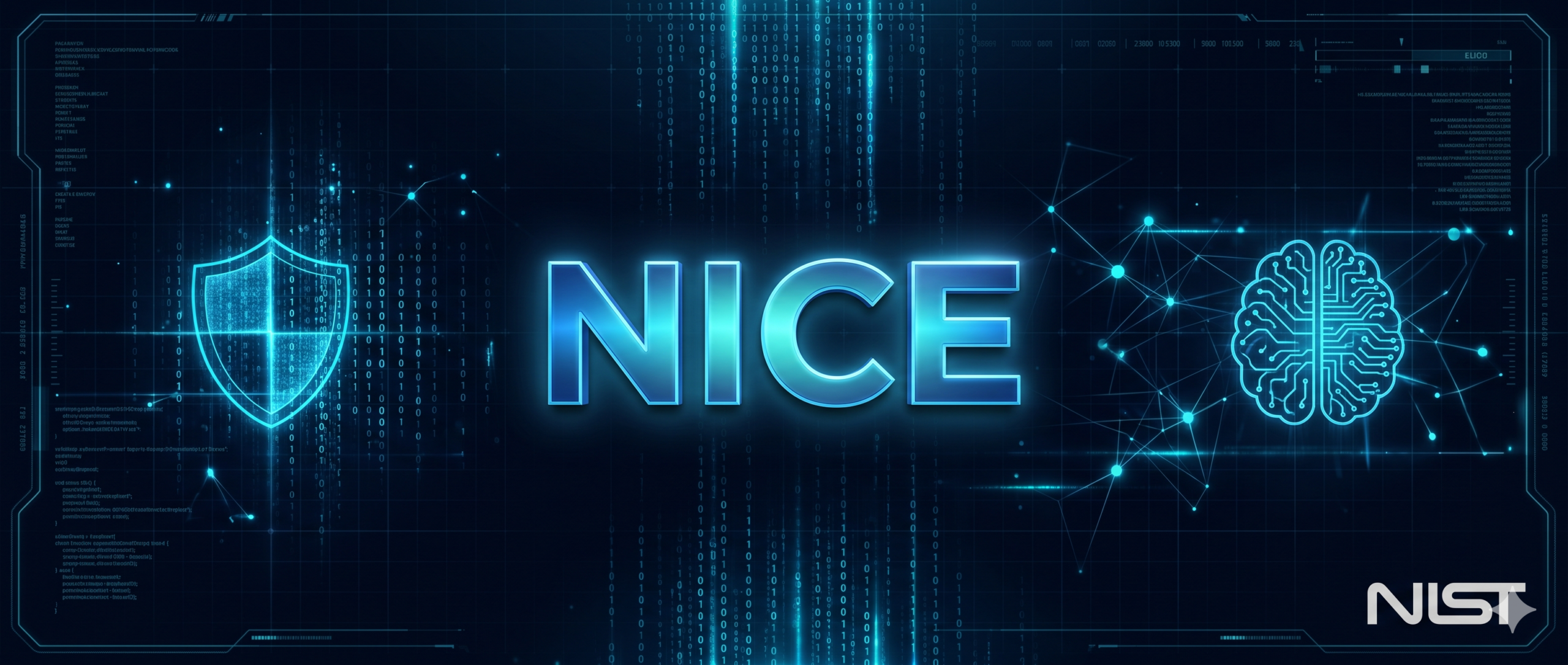 The NICE Framework